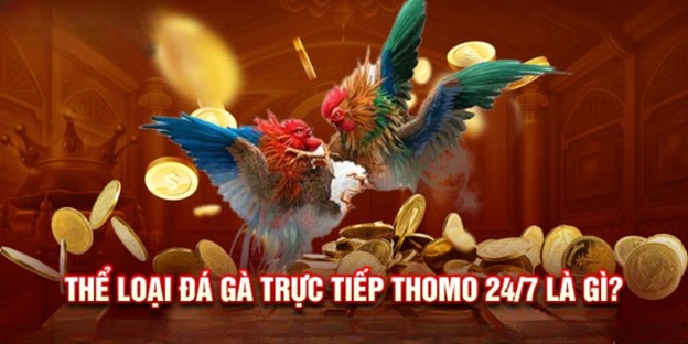 8xbet - Trải nghiệm đá gà trực tiếp Thomo 24/7 đầy hấp dẫn